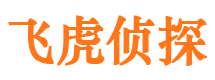 靖西侦探